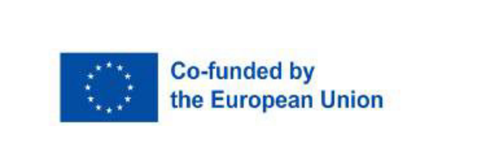 Co-funded by the European Union